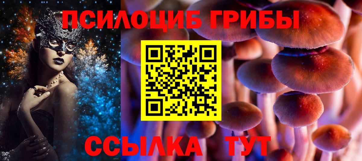 Псилоцибиновые грибы мицелий  Вход с VPN  Псилоцибиновые грибы GOLDEN TEACHER  Минеральные Воды 